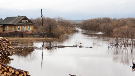 В Воронежской области поторопятся привить от ковида жителей утопающих сёл 