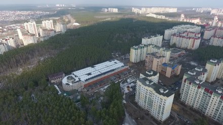 Северный лес в Воронеже объявили памятником природы  