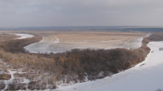 Вырубка деревьев началась вдали от любимой воронежцами смотровой площадки в Кривоборье
