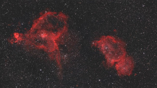 Воронежским женщинам в честь 8 Марта показали «космические букеты»