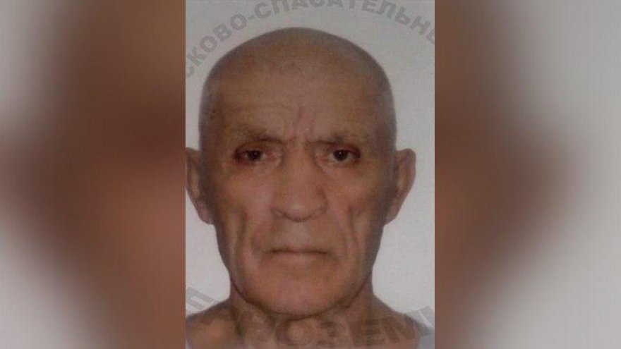 Воронежцев позвали на срочные поиски пропавшего 84-летнего дедушки