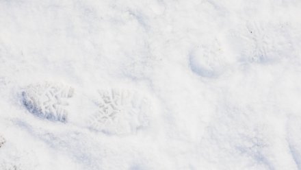 Трупы трёх пропавших без вести нашли в Воронежской области