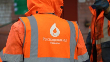 Десять домов в центре Воронежа останутся без воды на несколько часов