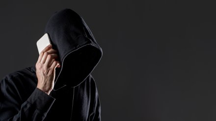 Воронежцы за сутки перевели аферистам почти 20 миллионов