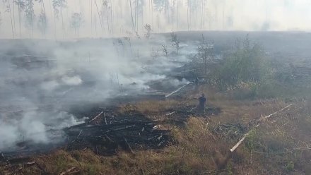 В Воронежской области из-за пожаров на 3 недели ввели новые ограничения 