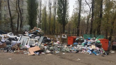 Воронежцы пожаловались на огромную свалку рядом с домами
