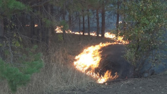 В Воронежской области потушили масштабный пожар у села