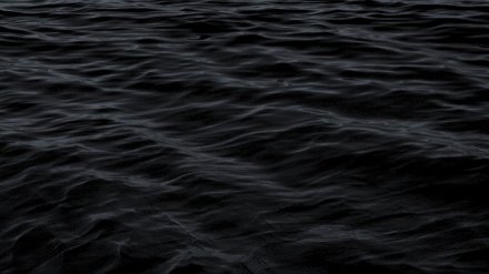 В Воронеже 24-летняя девушка утонула в водохранилище на глазах у родителей