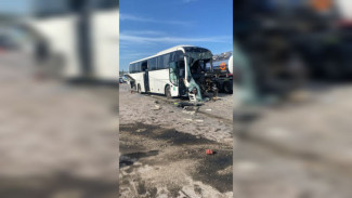Бастрыкин взял на контроль расследование ДТП с 15 пострадавшими в Воронежской области