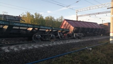 Воронежские следователи назвали причину схода поезда под Липецком