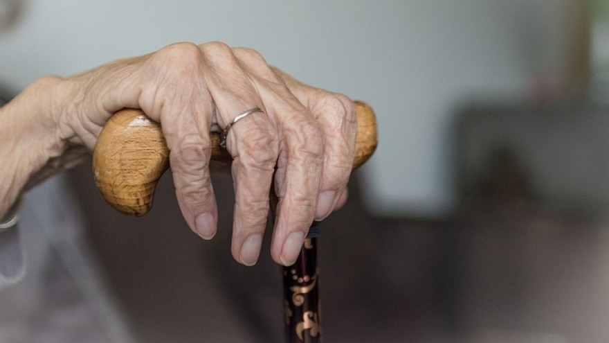 Пропавшая в Воронеже 86-летняя старушка добралась до сына