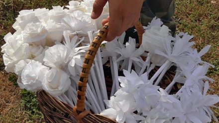 Акция «Белый цветок 2018» побила в Воронежской области собственный рекорд