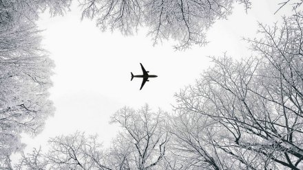 Воронежский аэропорт задержал международный рейс из-за накрывшего регион тумана