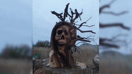 Жуткую скульптуру коронавируса сожгут в Воронеже