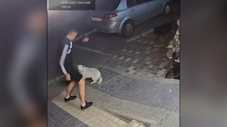 Воронежцы пожаловались на агрессивную стаю бездомных собак в ЖК «Мандарин»