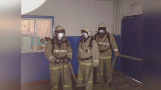 Из горящей многоэтажки в Воронеже спасли 12 человек: при пожаре пострадали 2 женщины