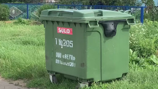 В посёлок в Таловском районе вернули мусорные контейнеры
