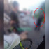 В Воронеже женщина под камерами избила и оттаскала за волосы школьницу