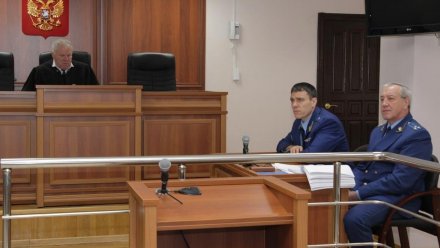 В Воронеже судят сельчанина, ударившего приятеля 28 раз ножом и убившего его мать 