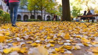 Мэру Воронежа доложили о планах управы Коминтерновского района на 2026-й