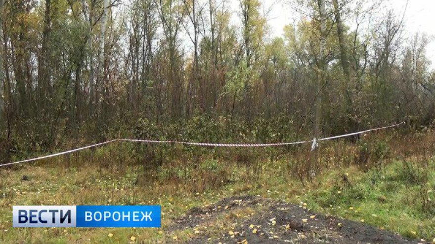 Воронежец в лесопосадке у больницы нашёл разложившийся труп мужчины