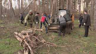«Убрали больше 450 гектаров». Как в Воронеже прошёл субботник