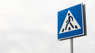 В Воронеже возбудили уголовное дело после гибели 13-летнего мальчика в ДТП