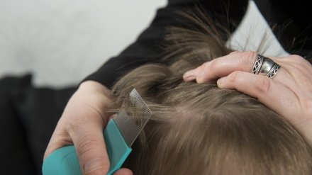 Самую современную школу Воронежа атаковали вши