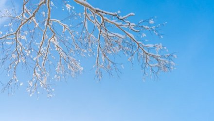 В выходные воронежцев ждут плюсовая температура, дожди и гололедица