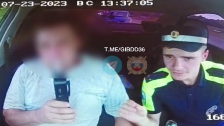 Воронежцу назначили 80 часов обязательных работ за попытку скрыться от сотрудников ДПС