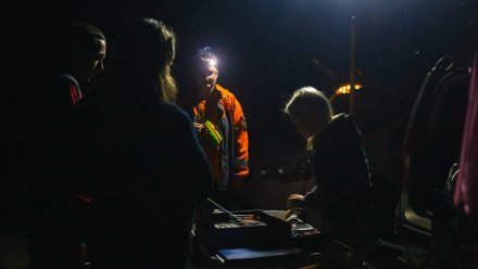 Мужчина заблудился в лесу во время сбора грибов в Воронежской области