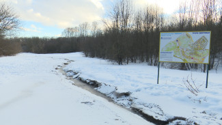 Зловонная река появилась в Центральном парке Воронежа