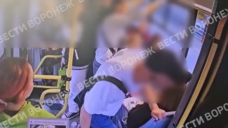 В воронежской маршрутке неадекватный пассажир избил водителя