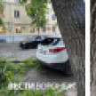 Упавшая ветка дерева разбила два авто в центре Воронежа