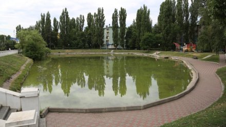 В Воронеже в обновлённом за 7 млн рублей озере на Минской едва не утонул ребёнок