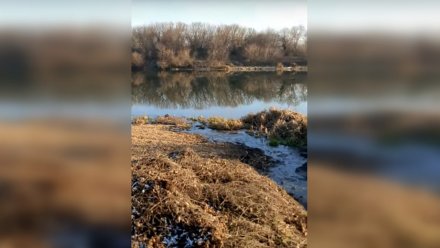 Воронежцев возмутил слив канализации в реку у коттеджного посёлка