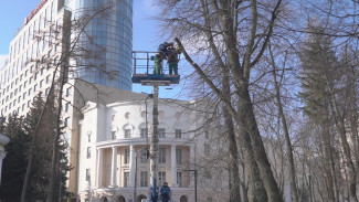 В воронежском сквере Бунина начали вырубать деревья