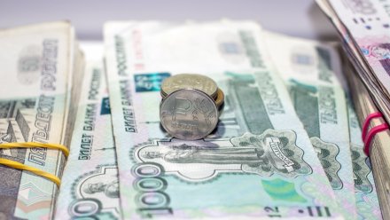 В Воронеже 10 человек обманули государство на 20 млн при работах по нацпроекту для школ