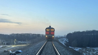 В Воронежской области 16-летний парень погиб под колёсами поезда