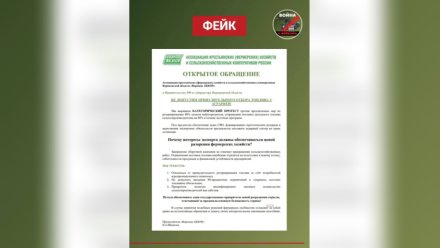 В Воронежской области опровергли слухи о возмущениях аграриев из-за ограничений на топливо