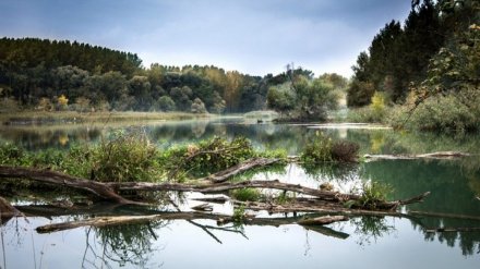 В Воронежской области проведут экологическую реабилитацию двух рек