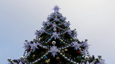В Воронеже главная новогодняя ёлка снова оказалась в центре конфликта