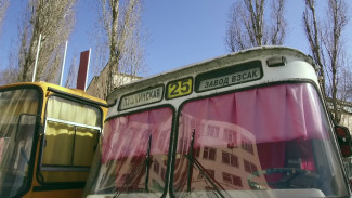 «Луноход» и Ikarus. Какие автобусы есть на ретровыставке в Воронеже и когда её пополнит ПАЗ