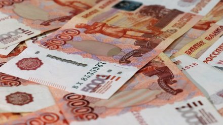 Воронежские сенаторы рассказали, сколько заработали в 2018 году