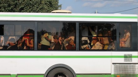 В Воронеже на Вербное воскресенье пустят специальные автобусы к кладбищам