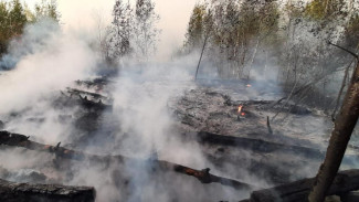 МЧС зарегистрировало три новых пожара в Воронежской области