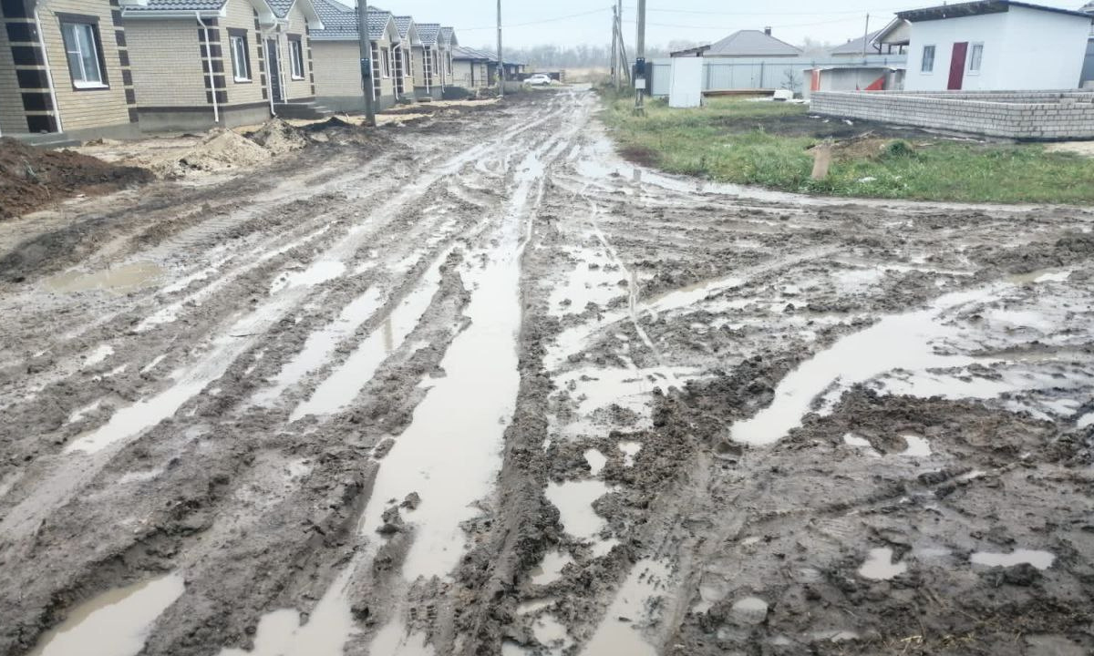 «‎Дети вплавь добираются до школы»‎. Воронежцы пожаловались на состояние  дороги в совхозе – Новости Воронежа и Воронежской области – Вести Воронеж