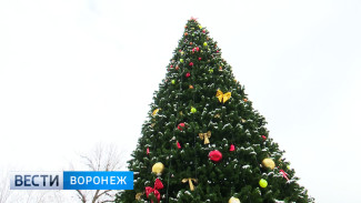 В воронежских парках установили новогодние ёлки
