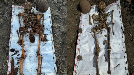 Останки троих красноармейцев нашли во время раскопок под Воронежем