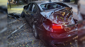 В Воронеже водитель BMW сбежал после ДТП с деревом